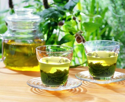 Bí quyết giảm béo hiệu quả từ lá trà xanh tươi