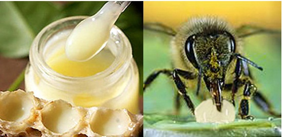 Image result for cách dùng sữa ong chúa