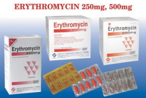 erythromycin-1