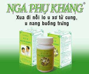 Nga_phu_khang-300x250