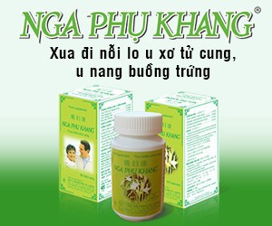 Nga_phu_khang-300x250-300x2501-300x250