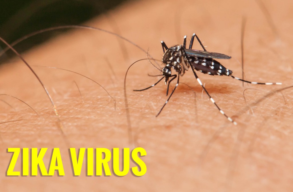 virus zika và nhung nguy hiem tim an