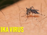 Virus Zika và những nguy hiểm tìm ẩn là gì?