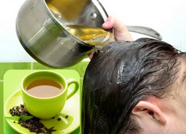 Cách trị rụng tóc bằng lá trà xanh