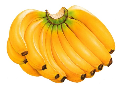Chuối tiêu là một trong những trái cây giúp giảm cân sau sinh
