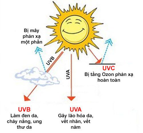 Tác hại tia UV