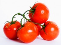 organic vine tomatoes, studio shot