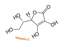 Cùng tìm hiểu vai trò vitamin C trong nấm lim xanh đối với con người