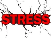 Mẹo nhỏ giảm stress cho bạn chỉ sau vài giây