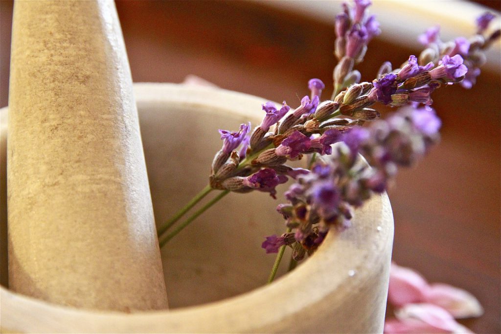 lợi ích trà hoa oải hương