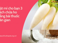 Bật mí cho bạn 3 cách chữa ho bằng bài thuốc dân gian